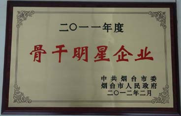 骨干明星企业