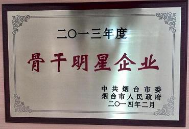 2013年度烟台市骨干明星企业