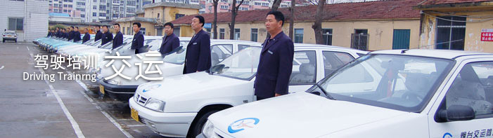 驾校服务